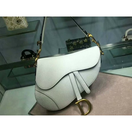 Dior Saddle Calfskin Bag Gold Hardware White m0446l3