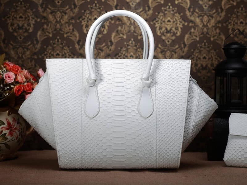 Celine Tie Nano Top Handle Bag Leather White Python 7
