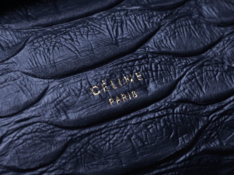 Celine Tie Nano Top Handle Bag Leather Blue Python 9