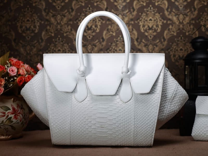 Celine Tie Nano Top Handle Bag Leather White Python 3