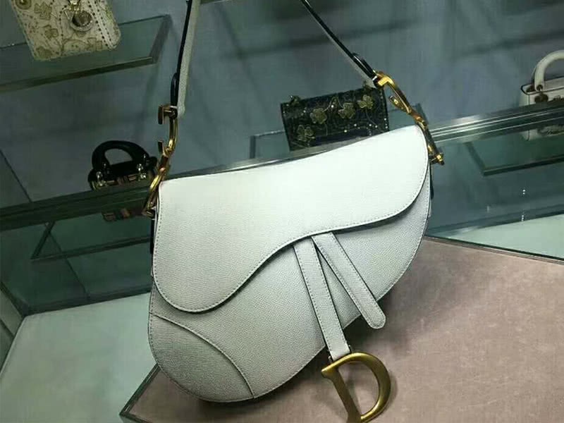 Dior Saddle Calfskin Bag Gold Hardware White m0446l3 1