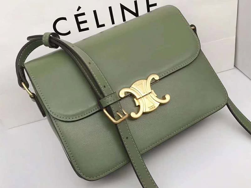 Celine Medium Triomphe Bag In Shiny Calfskin Green 2
