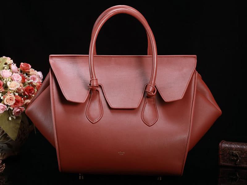 Celine Tie Nano Top Handle Bag Leather Brown 2