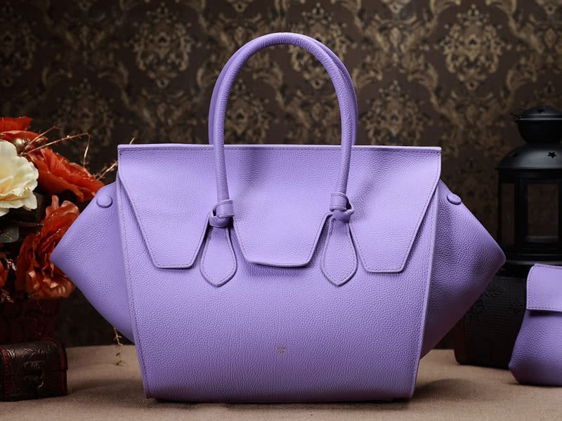 Celine Tie Nano Top Handle Bag Leather Purple 3