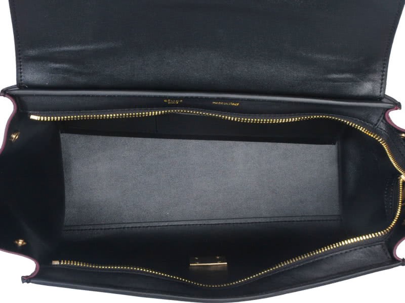 Celine Trapeze Shoulder Bag Python Leather Cream Black Wine 8