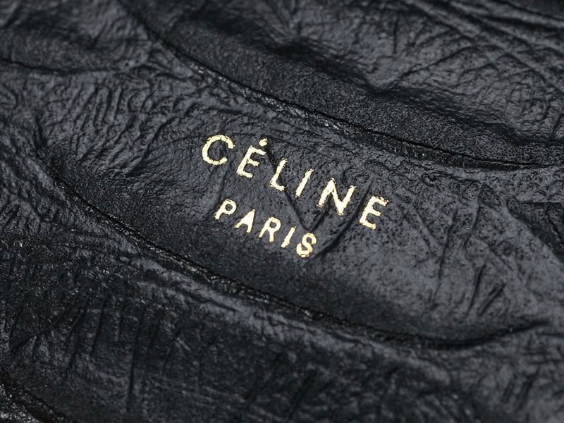 Celine Tie Nano Top Handle Bag Leather Black Python 9