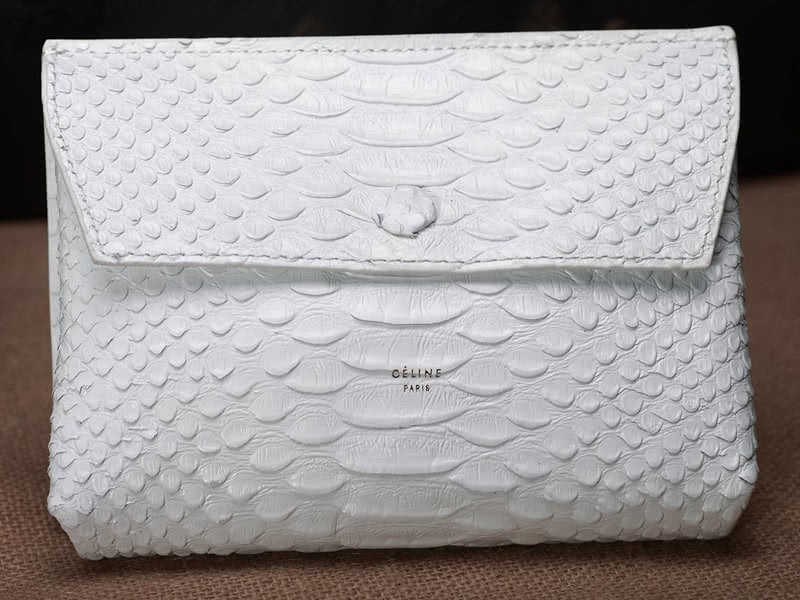 Celine Tie Nano Top Handle Bag Leather White Python 11