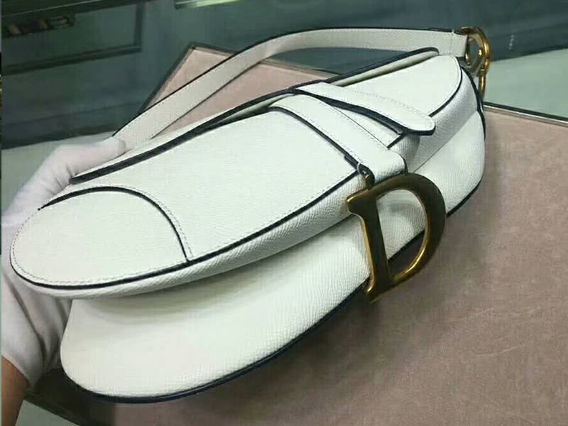 Dior Saddle Calfskin Bag Gold Hardware White m0446l3 5