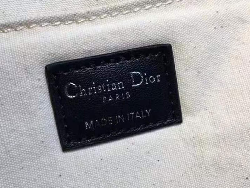 Dior Oblique With Christian Logo Backpack Lion Burgundy 9