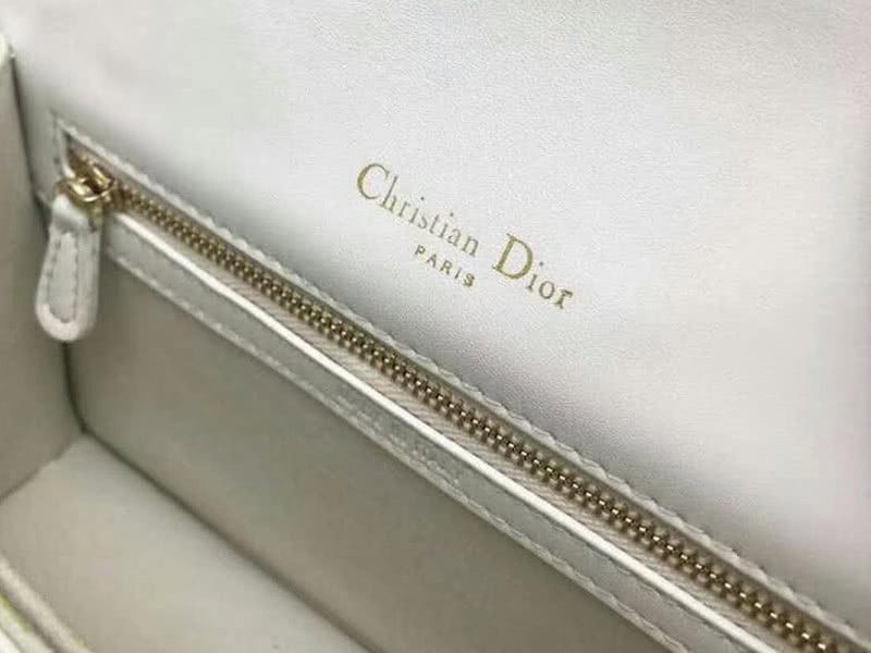 Dior Small Diorama Calfskin Bag White d0421-13 9
