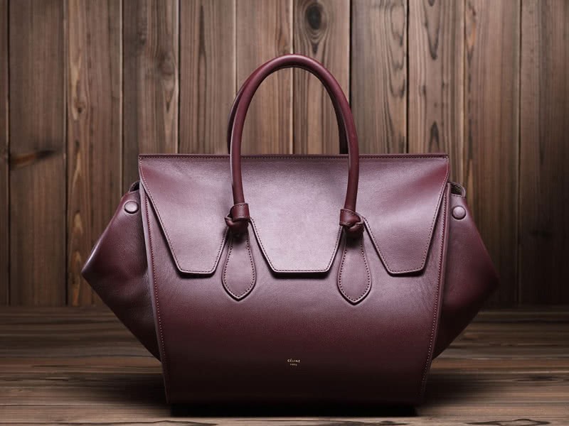 Celine Tie Nano Top Handle Bag Leather Burgundy 2