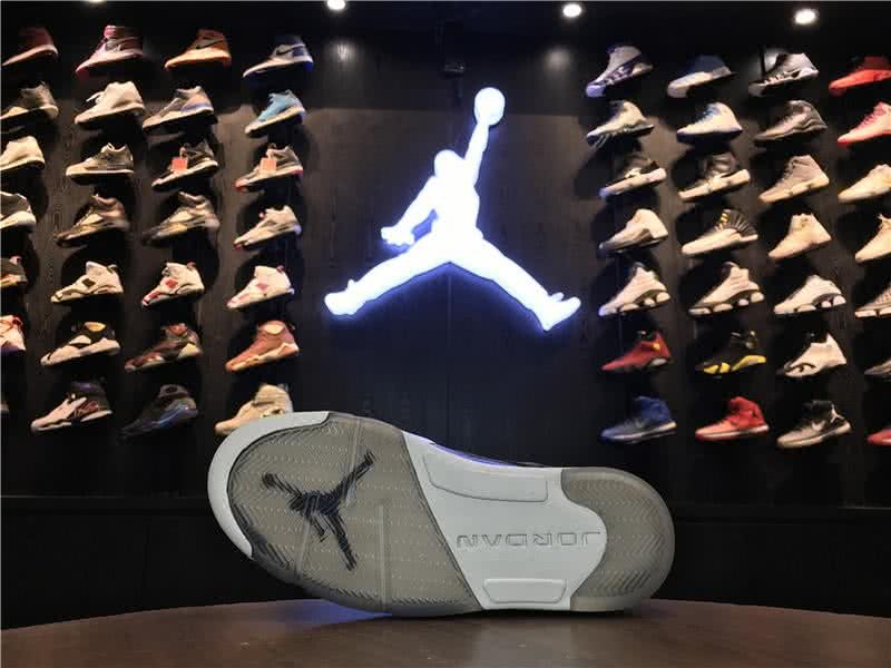 Air Jordan 5 Premium Heiress Metallic Field Grey And White Men 5