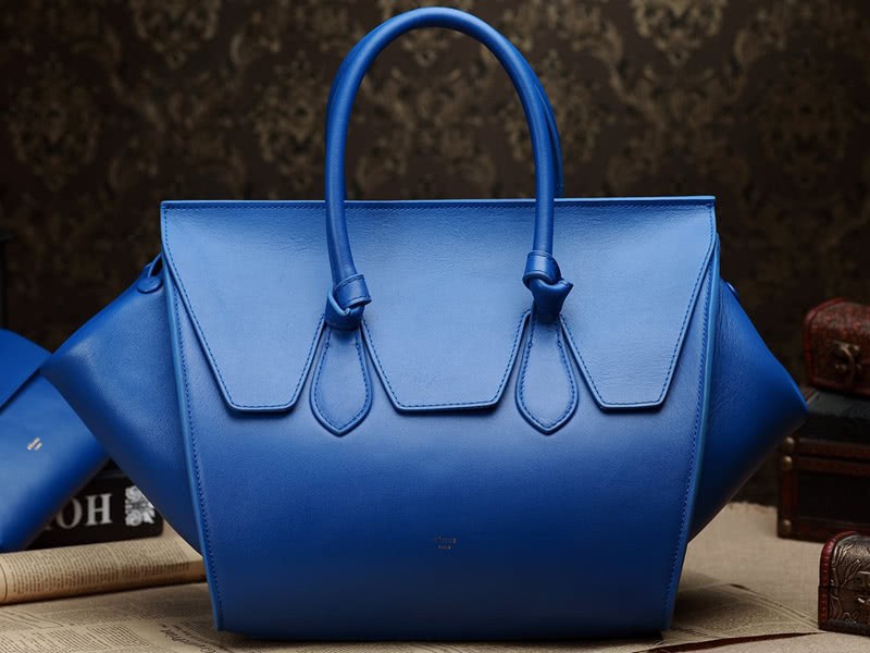 Celine Tie Nano Top Handle Bag Leather Blue 3