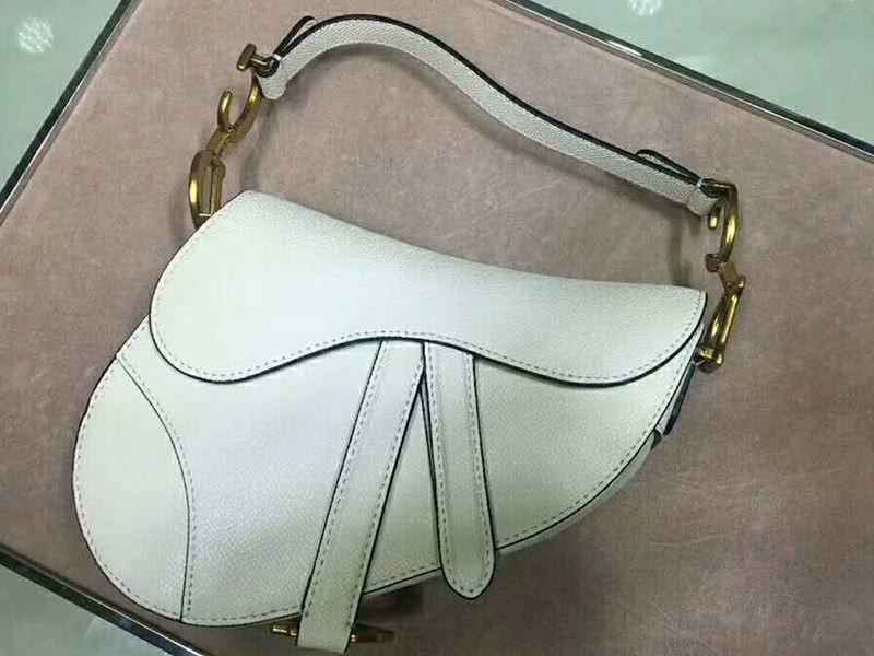 Dior Saddle Calfskin Bag Gold Hardware White m0446l3 2