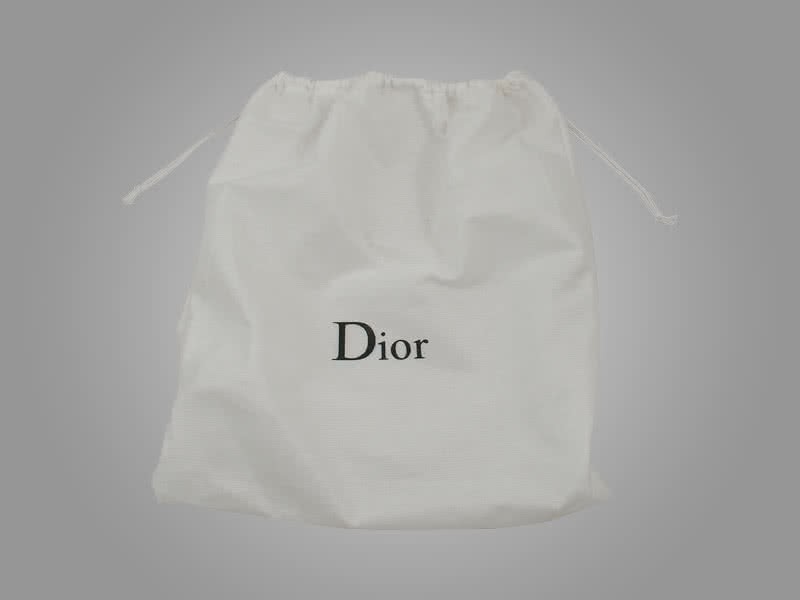 Dior Nano Leather Bag Silver Hardware Beige 7