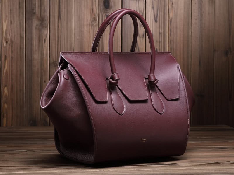Celine Tie Nano Top Handle Bag Leather Burgundy 3