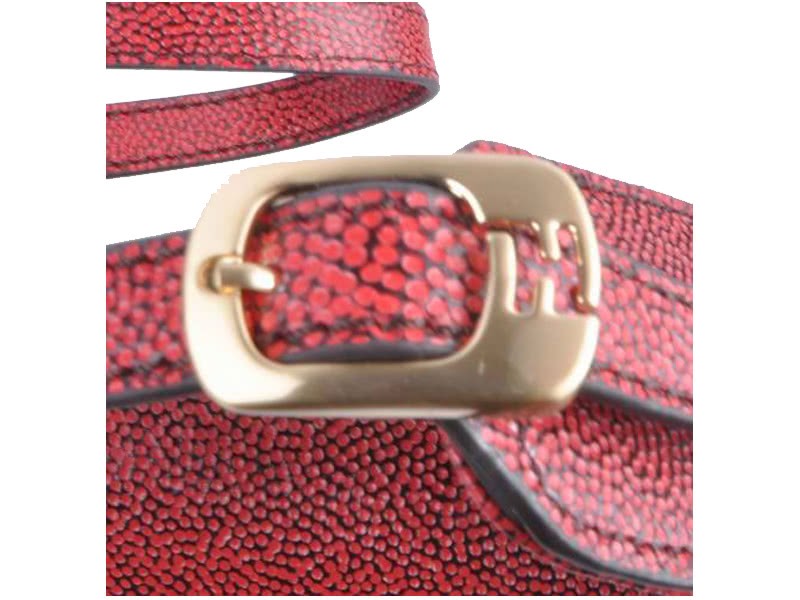 Fendi Chameleon Shoulder Bag Red 6