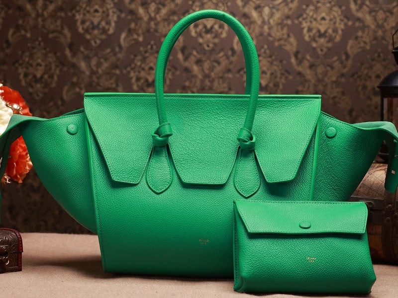 Celine Tie Nano Top Handle Bag Leather Green 1