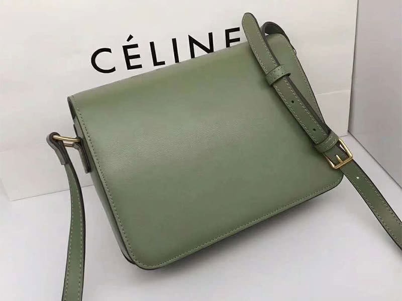 Celine Medium Triomphe Bag In Shiny Calfskin Green 3