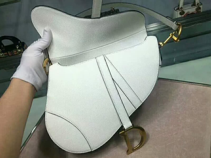 Dior Saddle Calfskin Bag Gold Hardware White m0446l3 8