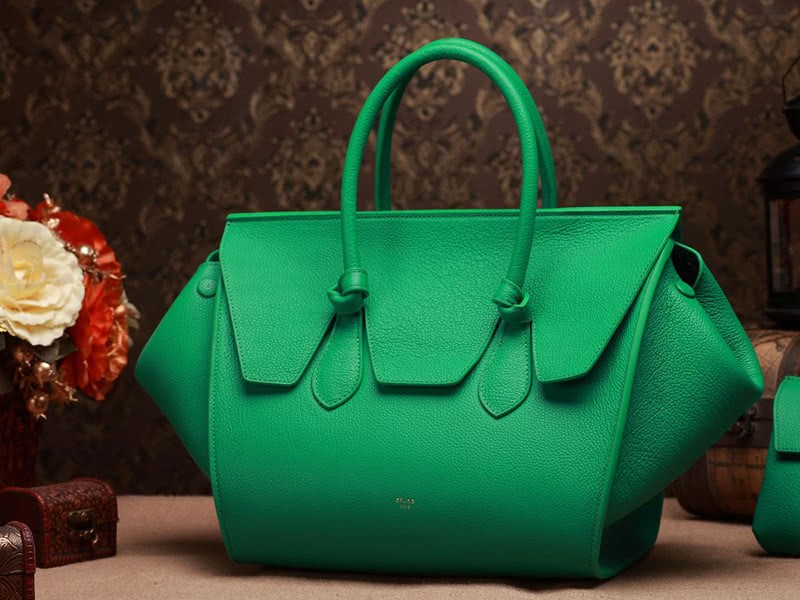 Celine Tie Nano Top Handle Bag Leather Green 4