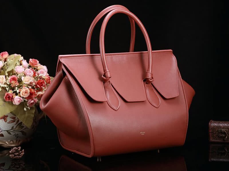 Celine Tie Nano Top Handle Bag Leather Brown 3
