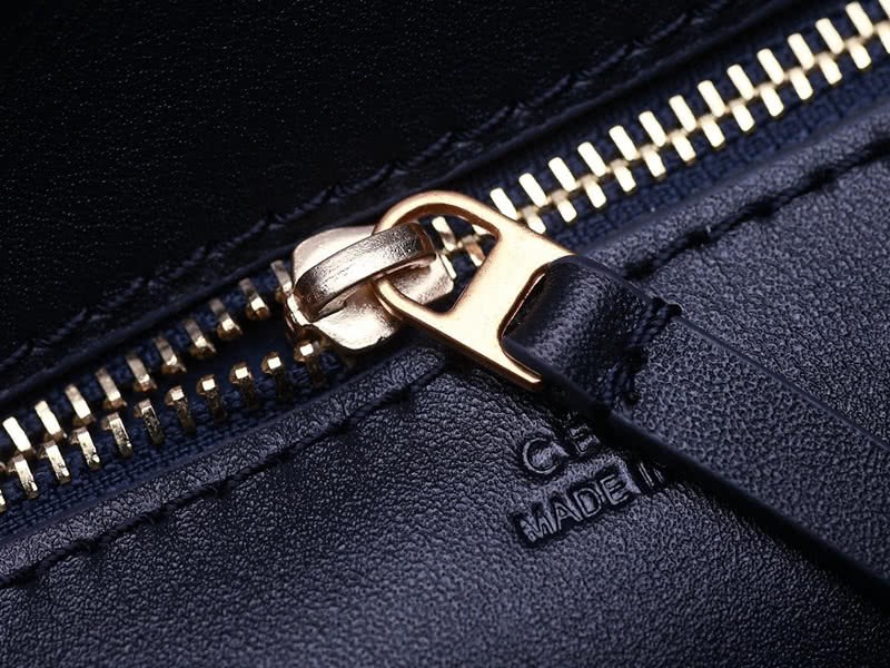 Celine Tie Nano Top Handle Bag Leather Blue Python 21