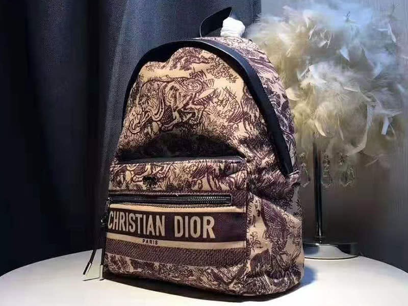 Dior Oblique With Christian Logo Backpack Lion Burgundy 4
