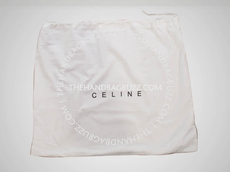 Celine Trapeze Shoulder Bag Multicolor Calfskin Brownish Blue Green 11