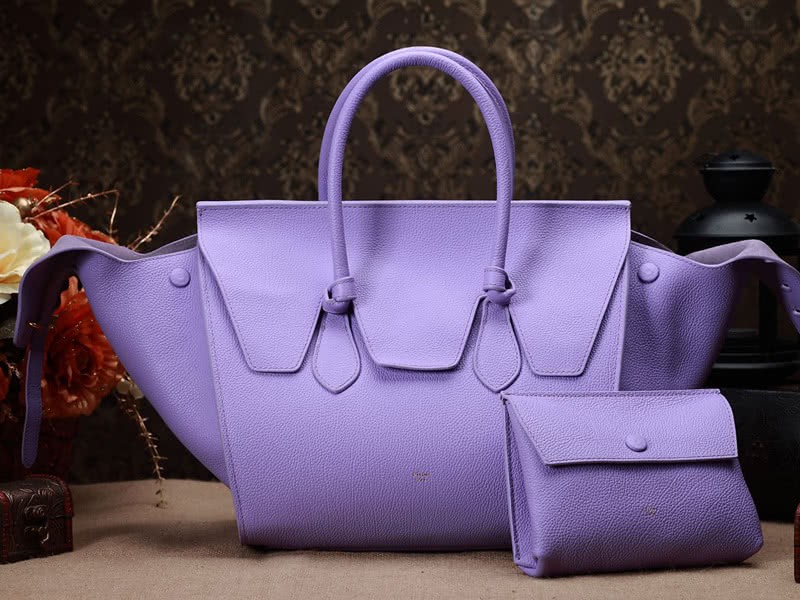 Celine Tie Nano Top Handle Bag Leather Purple 1