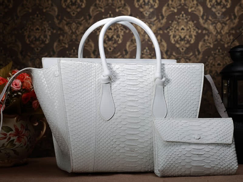 Celine Tie Nano Top Handle Bag Leather White Python 2
