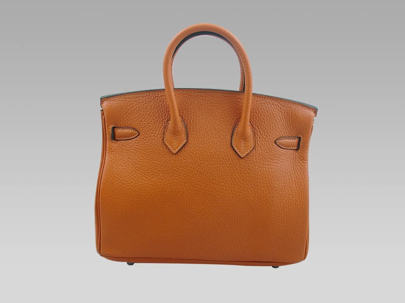 Hermes Birkin 25 Togo Leather Orange 4