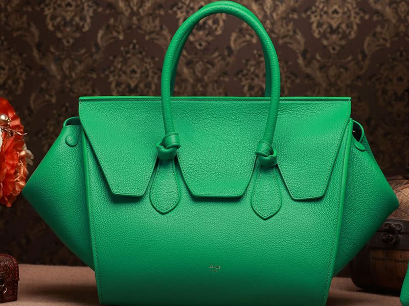 Celine Tie Nano Top Handle Bag Leather Green 3