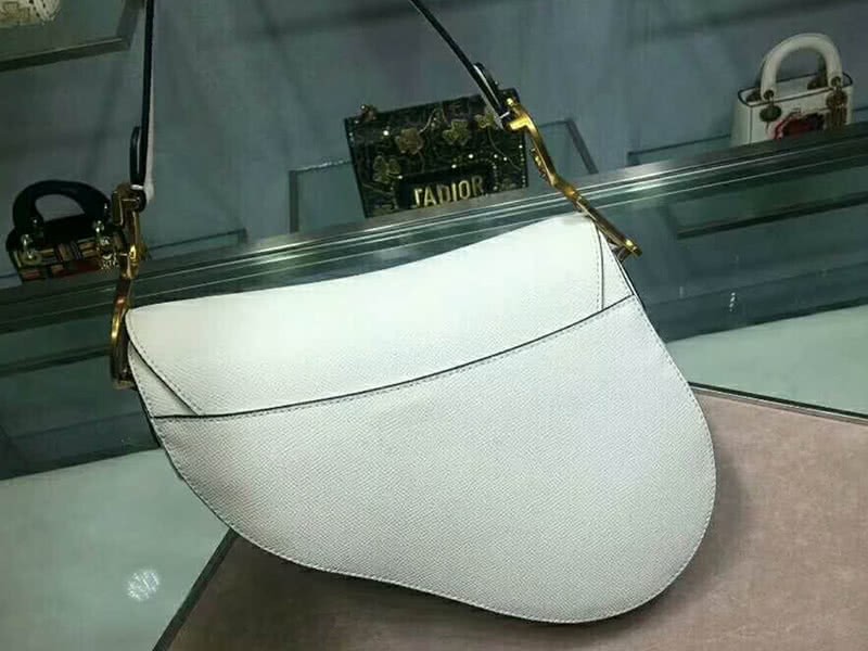 Dior Saddle Calfskin Bag Gold Hardware White m0446l3 3