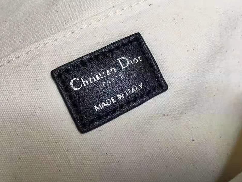 Dior Oblique With Christian Logo Backpack Black 8