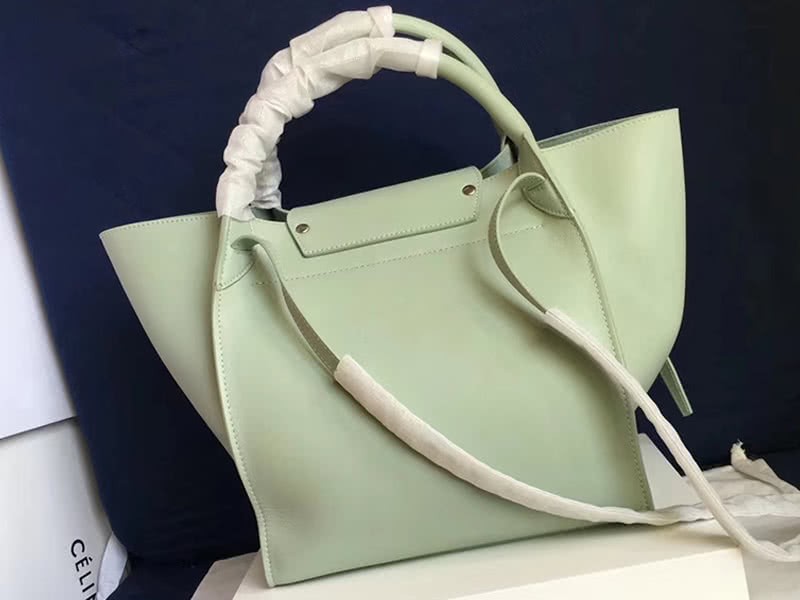Celine Small Big Bag With Long Strap In Supple Grained Calfskin Light Green 2