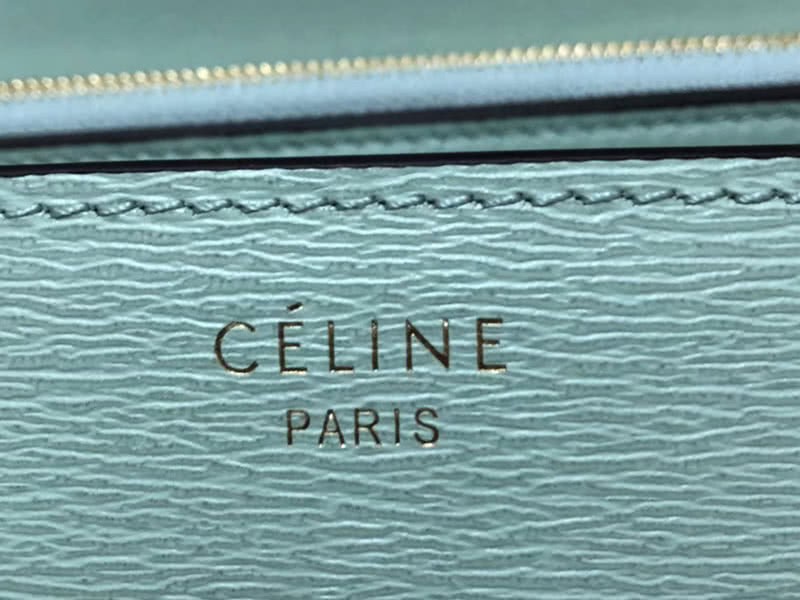 Celine Medium Classic Bag In Box Calfskin Mint Green 5