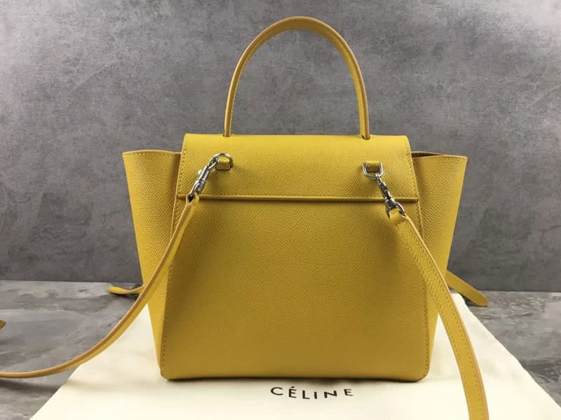 Celine Nano Belt Bag In Grained Calfskin Yellow 200ce 3