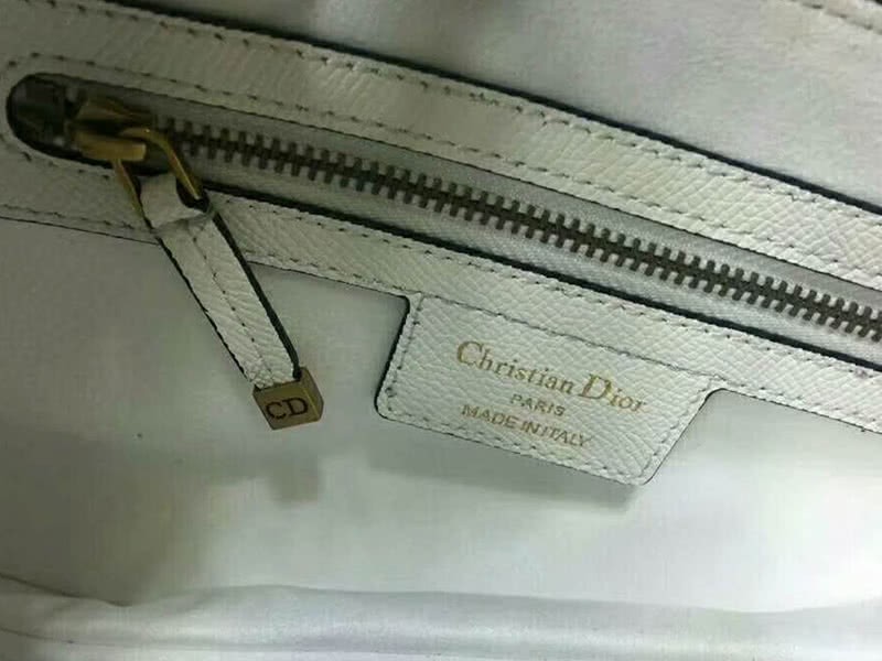 Dior Saddle Calfskin Bag Gold Hardware White m0446l3 9