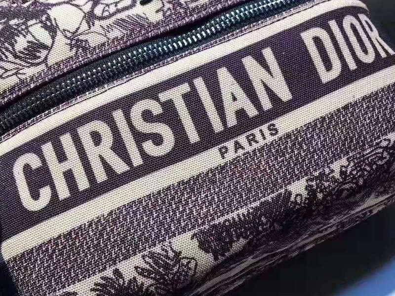 Dior Oblique With Christian Logo Backpack Lion Burgundy 8