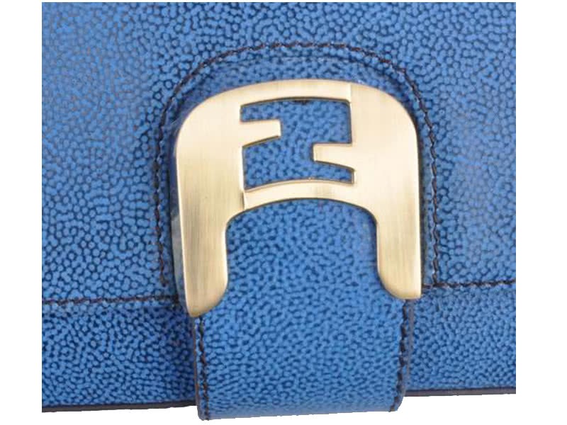 Fendi Chameleon Shoulder Bag Blue 5