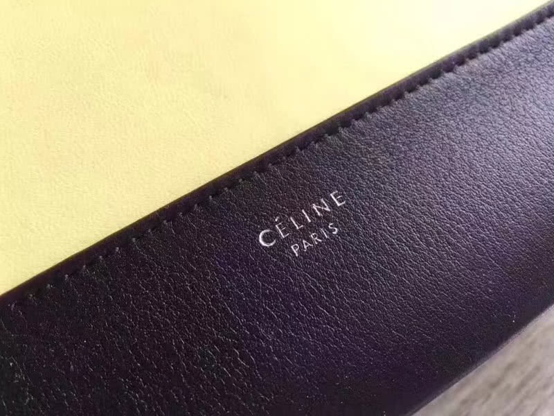 Celine Medium Frame Shoulder Bag Calskin Yellow And Black 5