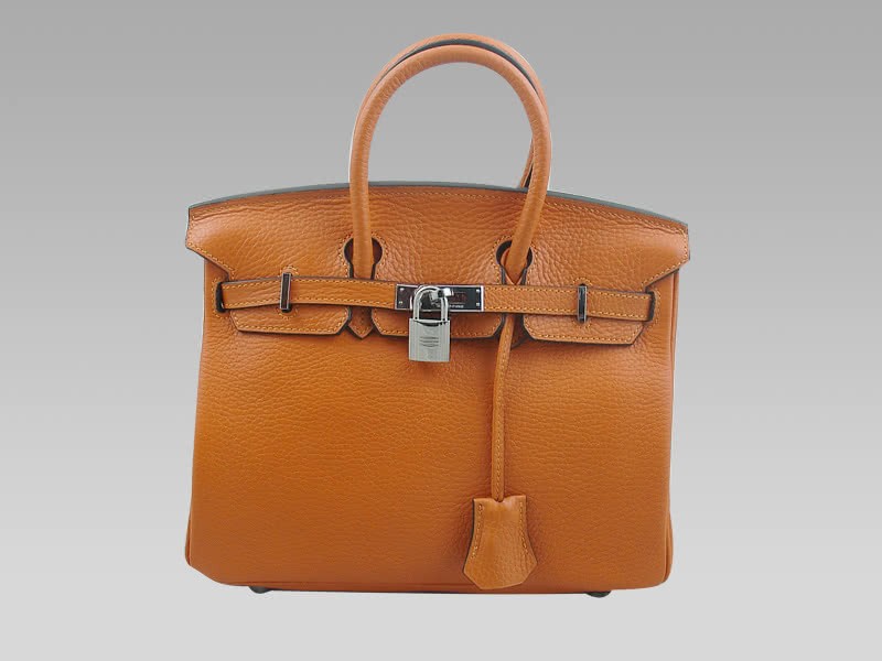 Hermes Birkin 25 Togo Leather Orange 1