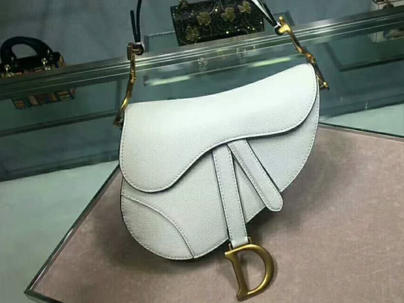 Dior Mini Saddle Calfskin Bag Gold Hardware White m0447s3 1