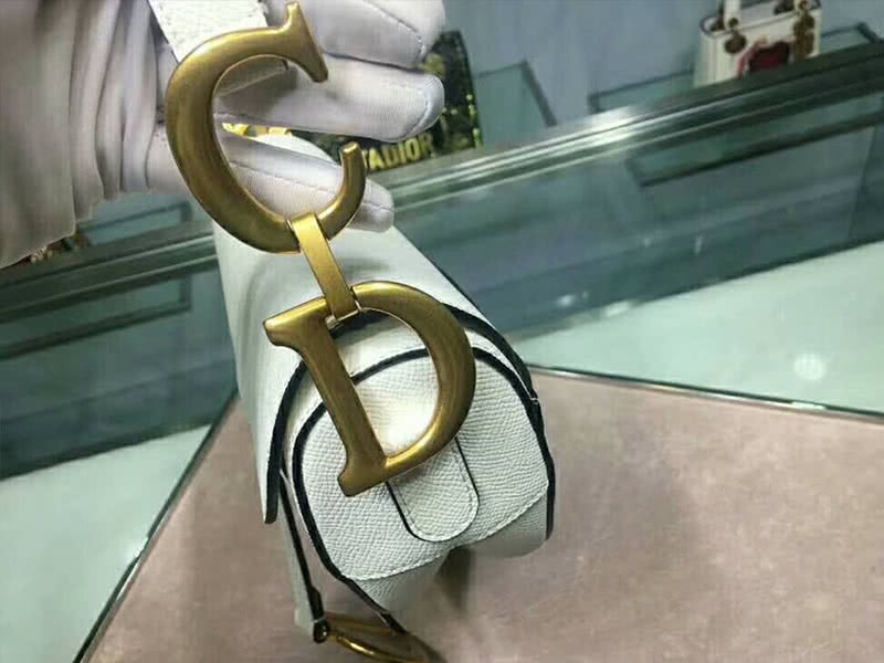 Dior Saddle Calfskin Bag Gold Hardware White m0446l3 6