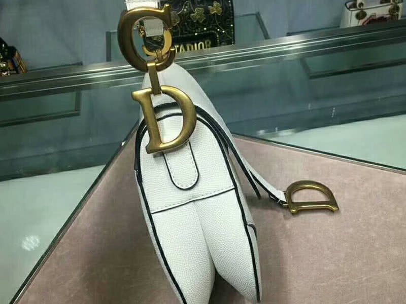 Dior Saddle Calfskin Bag Gold Hardware White m0446l3 4