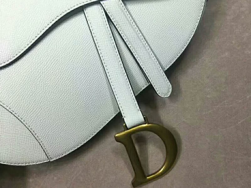 Dior Saddle Calfskin Bag Gold Hardware White m0446l3 7