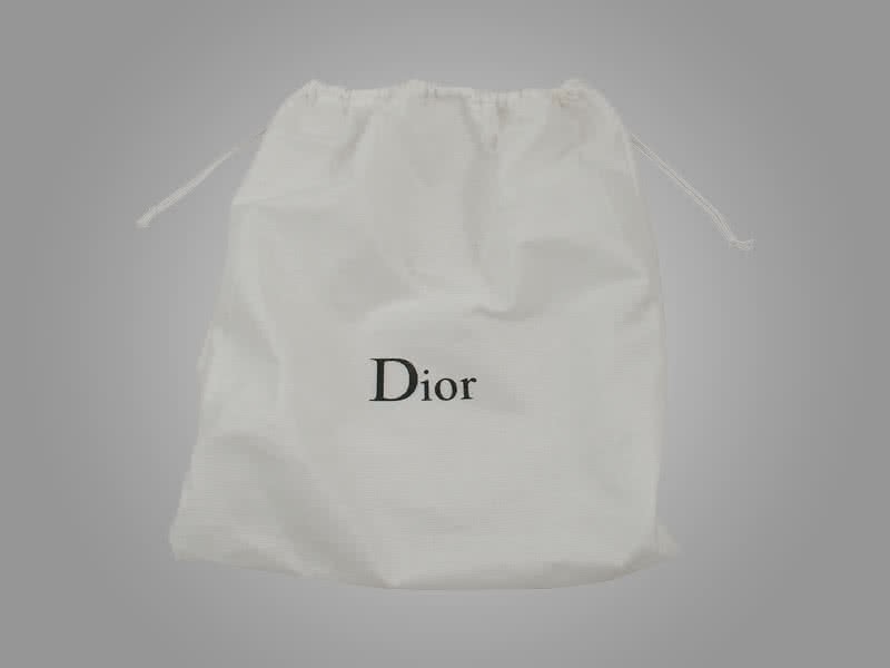 Dior Nano Leather Bag Silver Hardware White 8