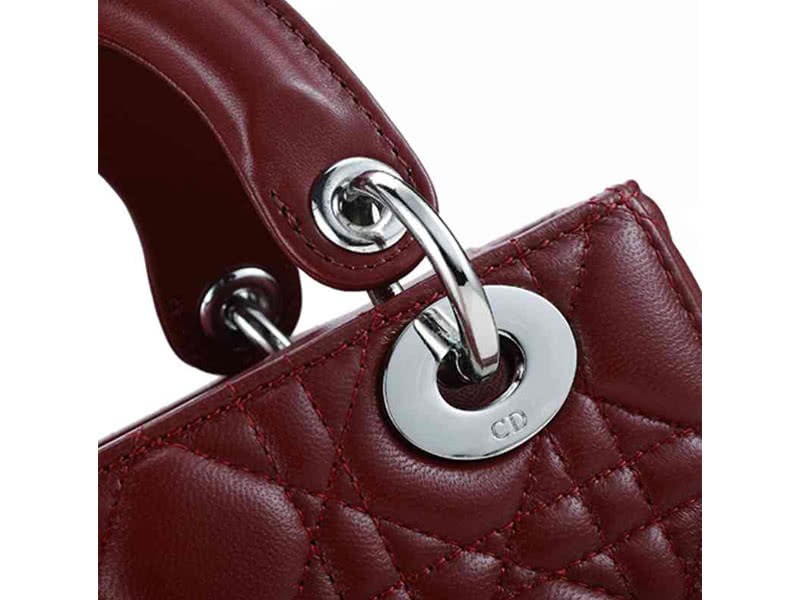 Dior Nano Leather Bag Silver Hardware Burgundy 5