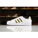 Adidas SUPERSTAR Sports Shoes  White and Gold Men/Women